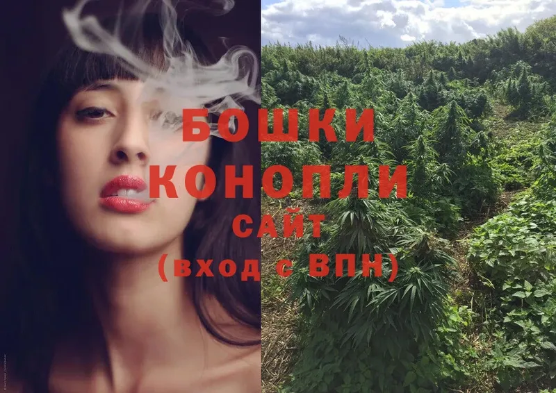 Бошки Шишки THC 21%  цена наркотик  Артёмовск 